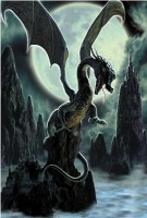 /album/galleria-fotografica/drago2-1-jpg/